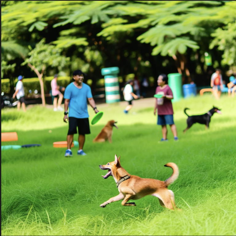 El Rol Vital del Ejercicio en la Salud de Nuestros Perros